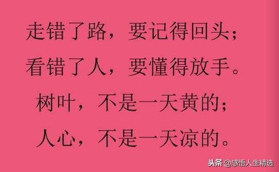 手不把书卷操心,识卷舒邀筵次第争临人能不蔽屈指,数别日裴徊北林月