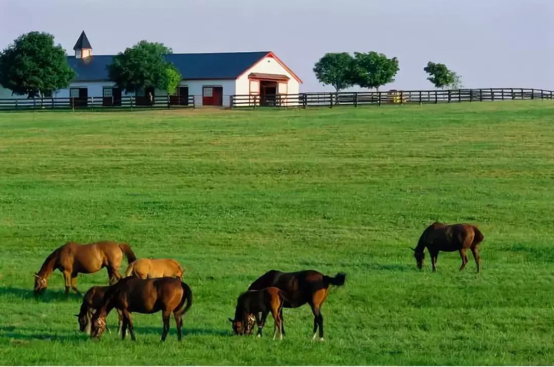 走进日本农业日本发展家庭农场的缘起经验与启示