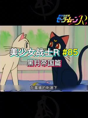 美少女战士r85期白猫黑猫是一对噢一起来吸猫100块逛吃挑战