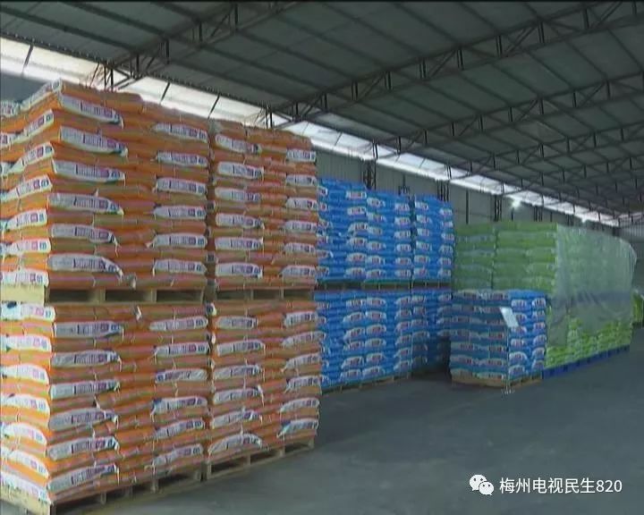只见仓库里堆满了包装好的大米,这些大米可都是销往梅城各大超市和