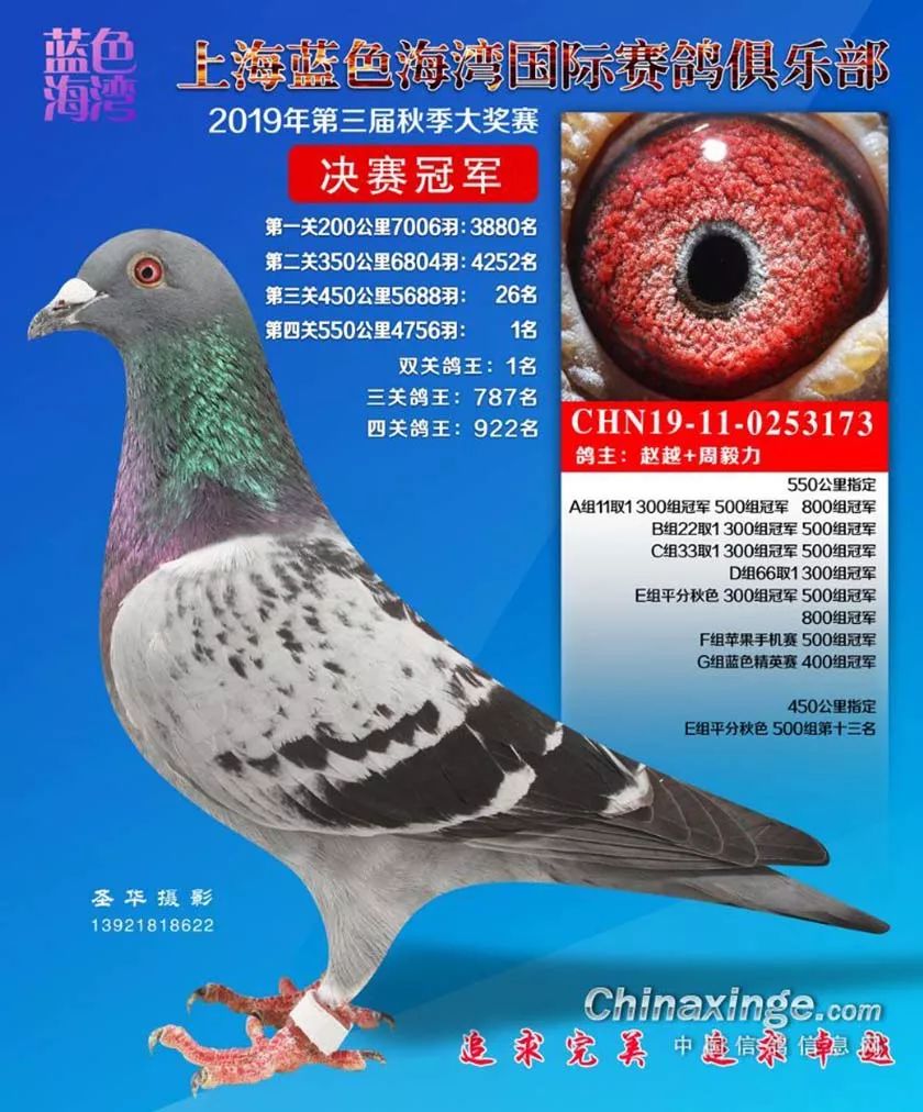 鴿主河北天一,環號2019-a001588返回搜狐,查看更多