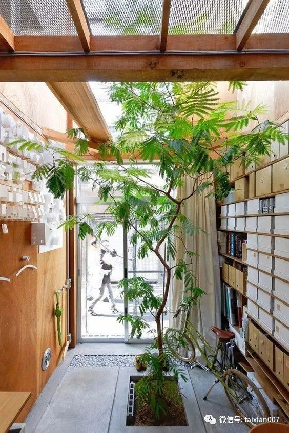 室内养花摆放案例设计200款