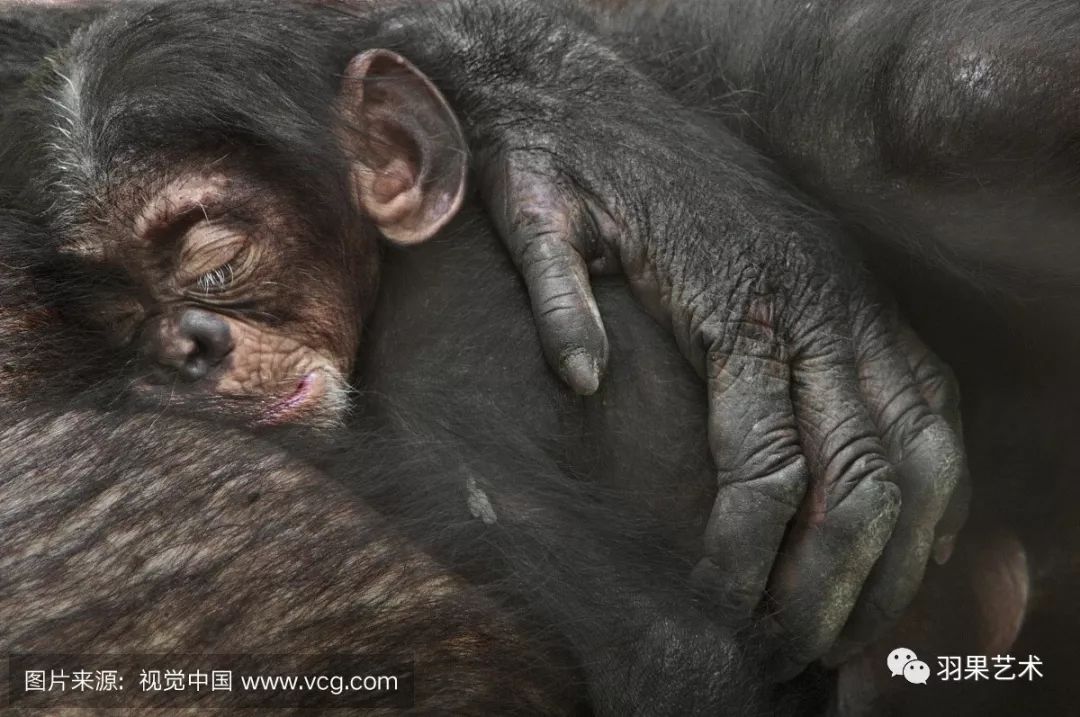 保護野生動物要從孩子學起_人類