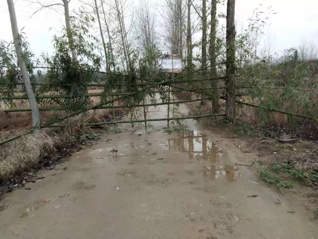 村组08道观河卡口071罗家沟大桥(与黄州堵城交界)06上巴河大桥 (与