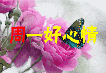 350_240gif 动态图 动图