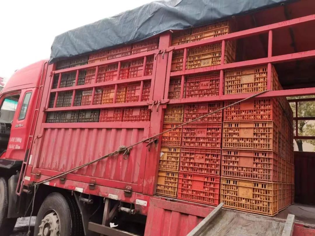 大润发花山店刚到货的7吨鸡蛋