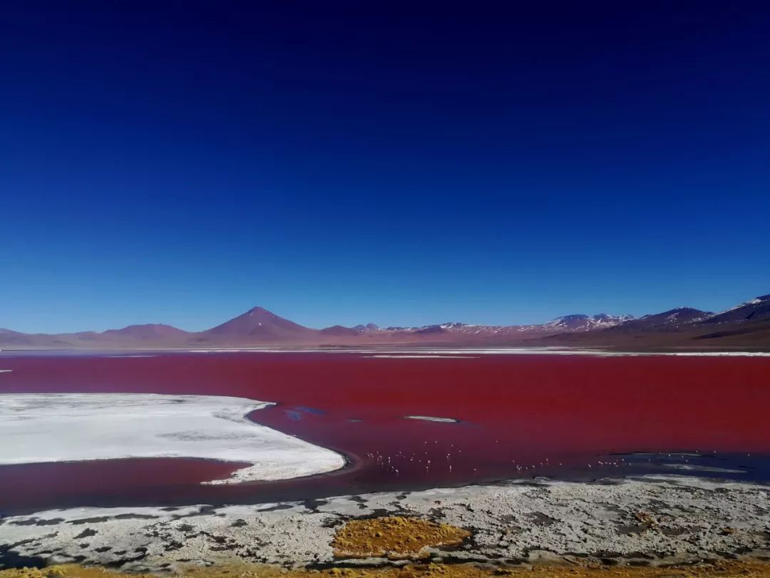 121期:joyce的环球之旅——南美篇_秘鲁