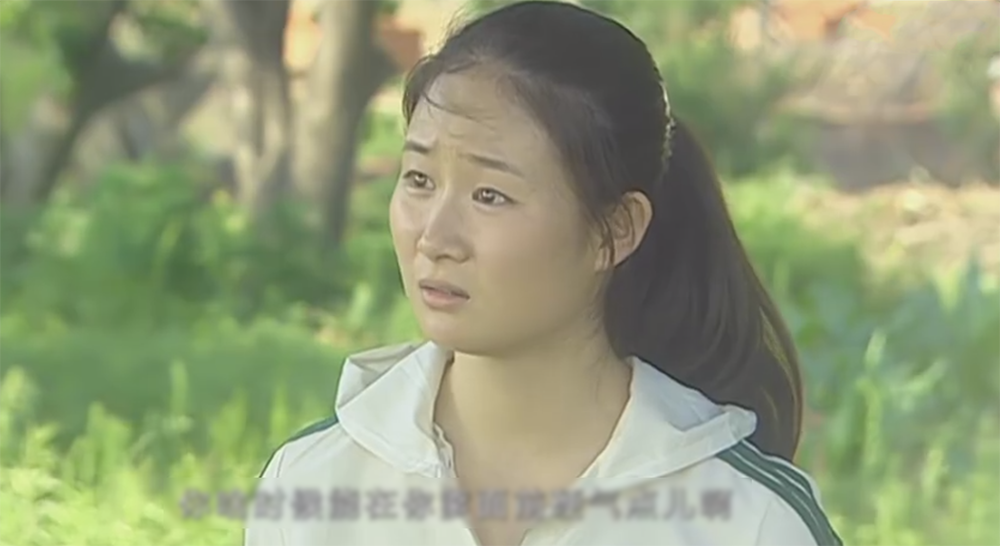 原创盘点乡村爱情里的那些红男绿女每个人都经历着自己的人生