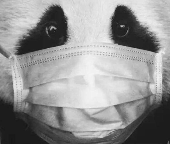 熊猫村儿童趣解人民日报抗击肺炎九阴真经