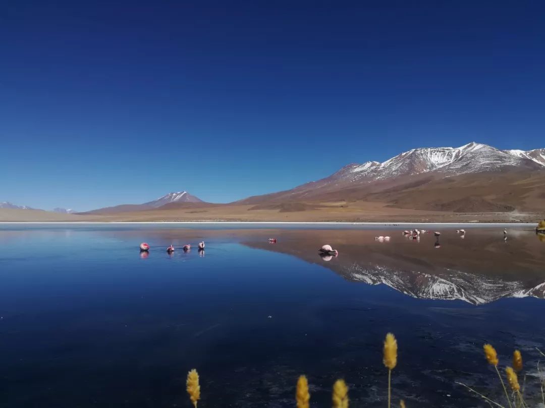 121期:joyce的环球之旅——南美篇_秘鲁