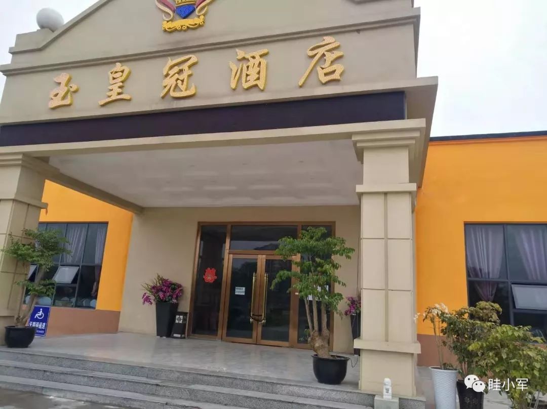 金都大酒店,筷乐酒楼违规承接宴席,德润欧郡茶房,梧桐