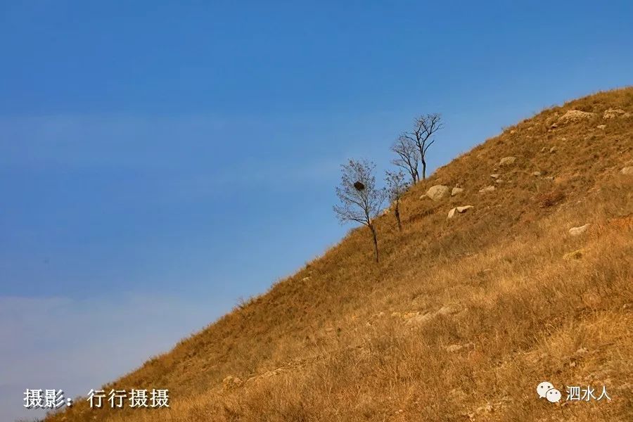 山东泗水自然奇观群仙毕至龙湾湖畔踞龙山