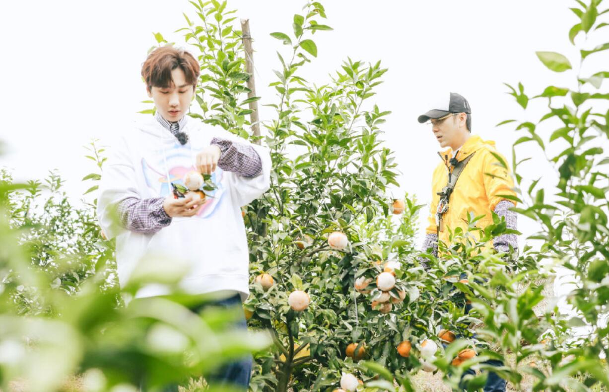 林依轮和汪苏泷做了无意义的事情,正应了汪涵曾经的一句话