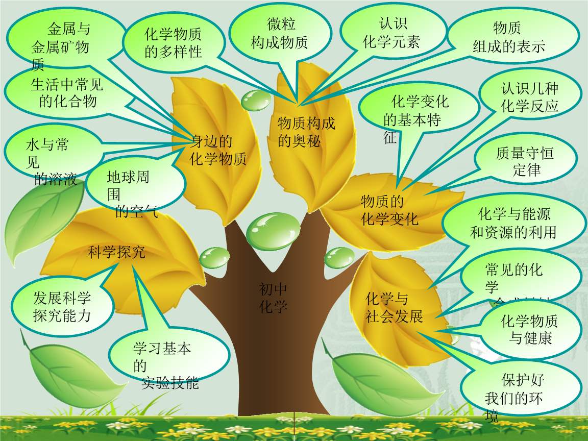 掌握基础知识,灵活运用化学技能.