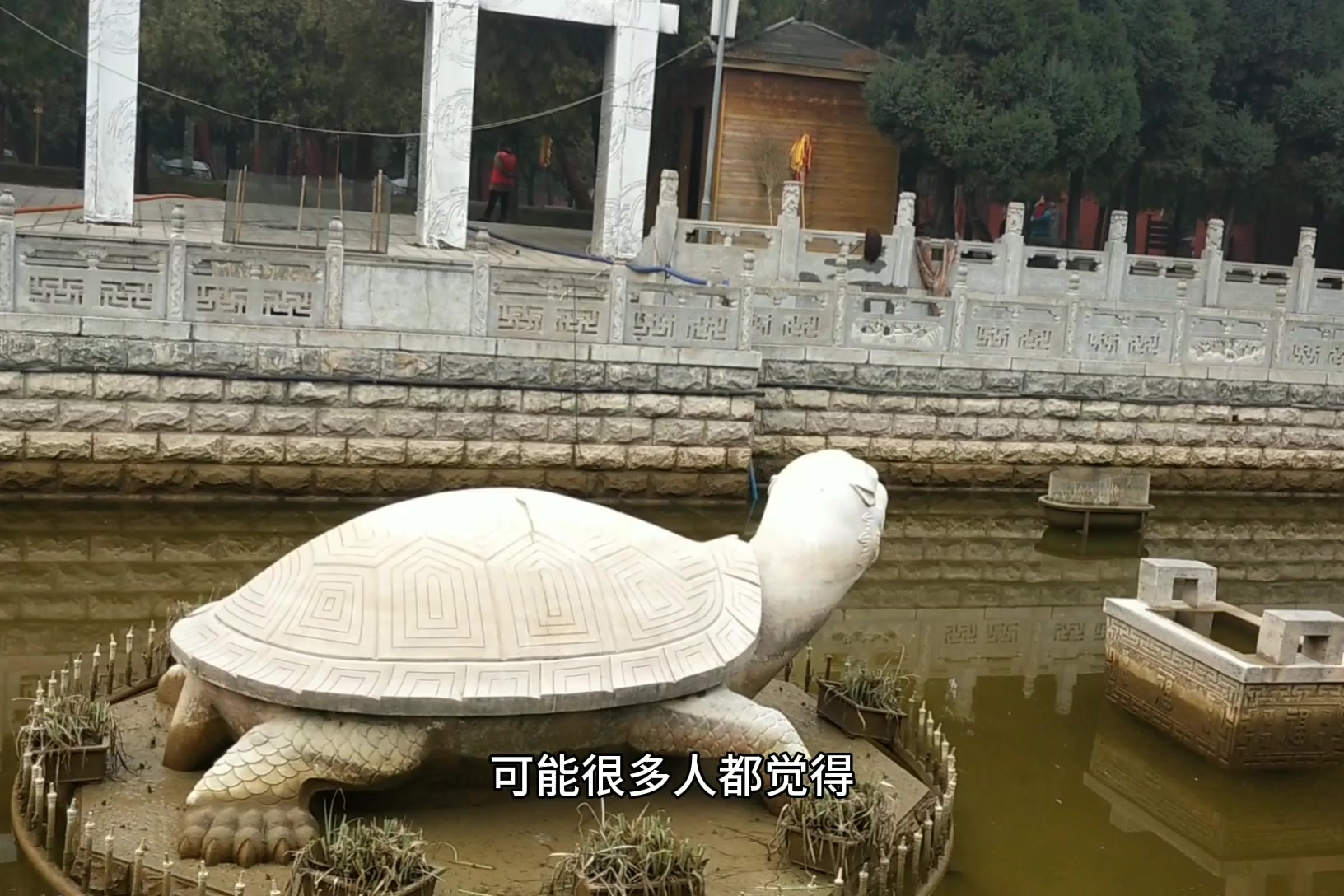 伏羲看白龟画出八卦是真的吗小伙实地探访带你了解这段历史