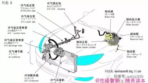 令人震撼的汽車解剖圖讓你對汽車結構瞭然於胸輕鬆成為故障診斷專家