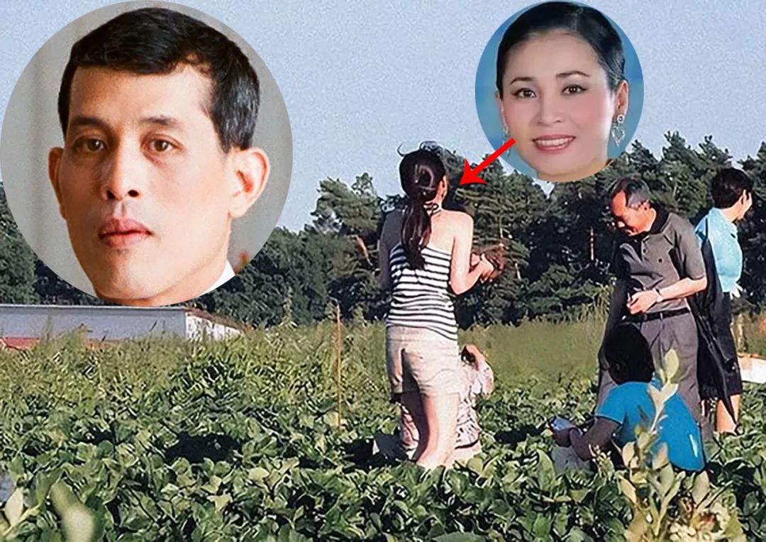 苏提达出公务高冷生活中却是娇滴滴的美人和泰王打情骂俏超甜