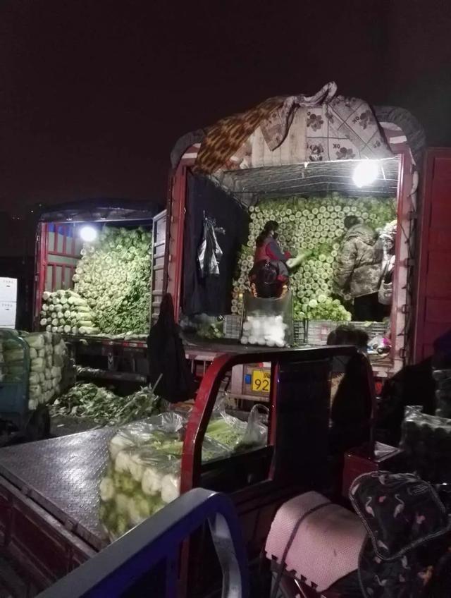 【众志成城 抗击疫情】500吨新鲜菜来了!天津人今天就能买到