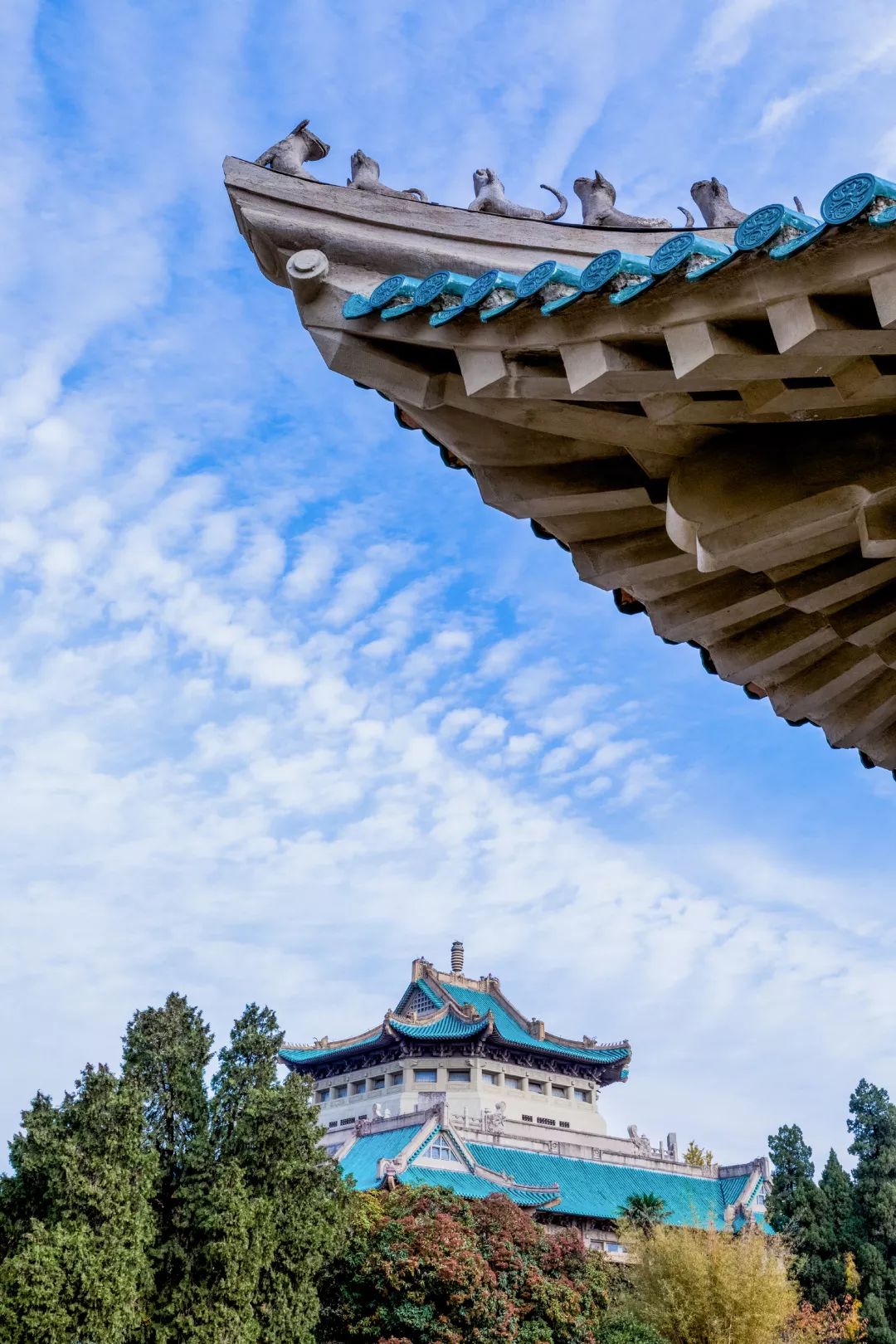 我们总会战胜疫情去武汉大学赏樱花