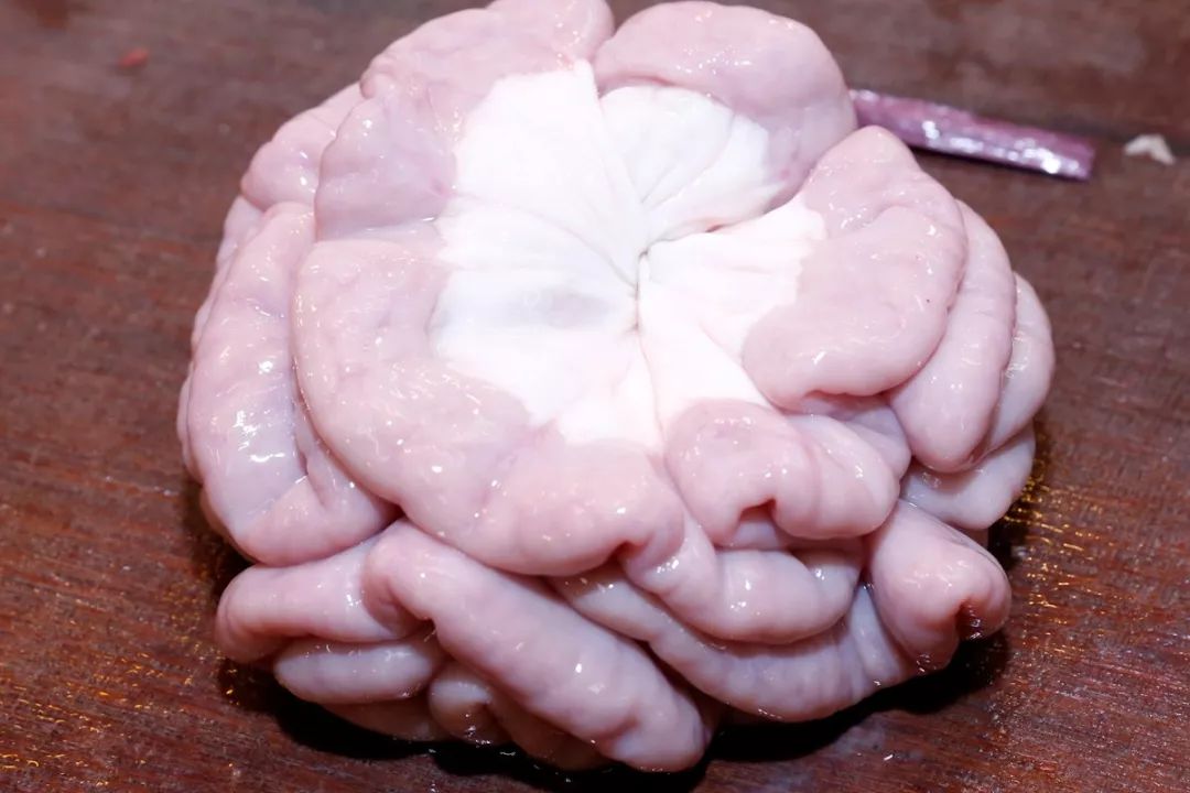 猪肠常见的料理是姜丝炒大肠(大肠),四神汤与猪肠冬粉(小肠),另外粉肠