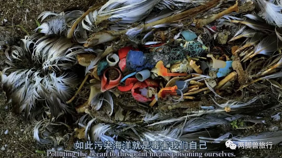 深蓝 deepblue(2003)