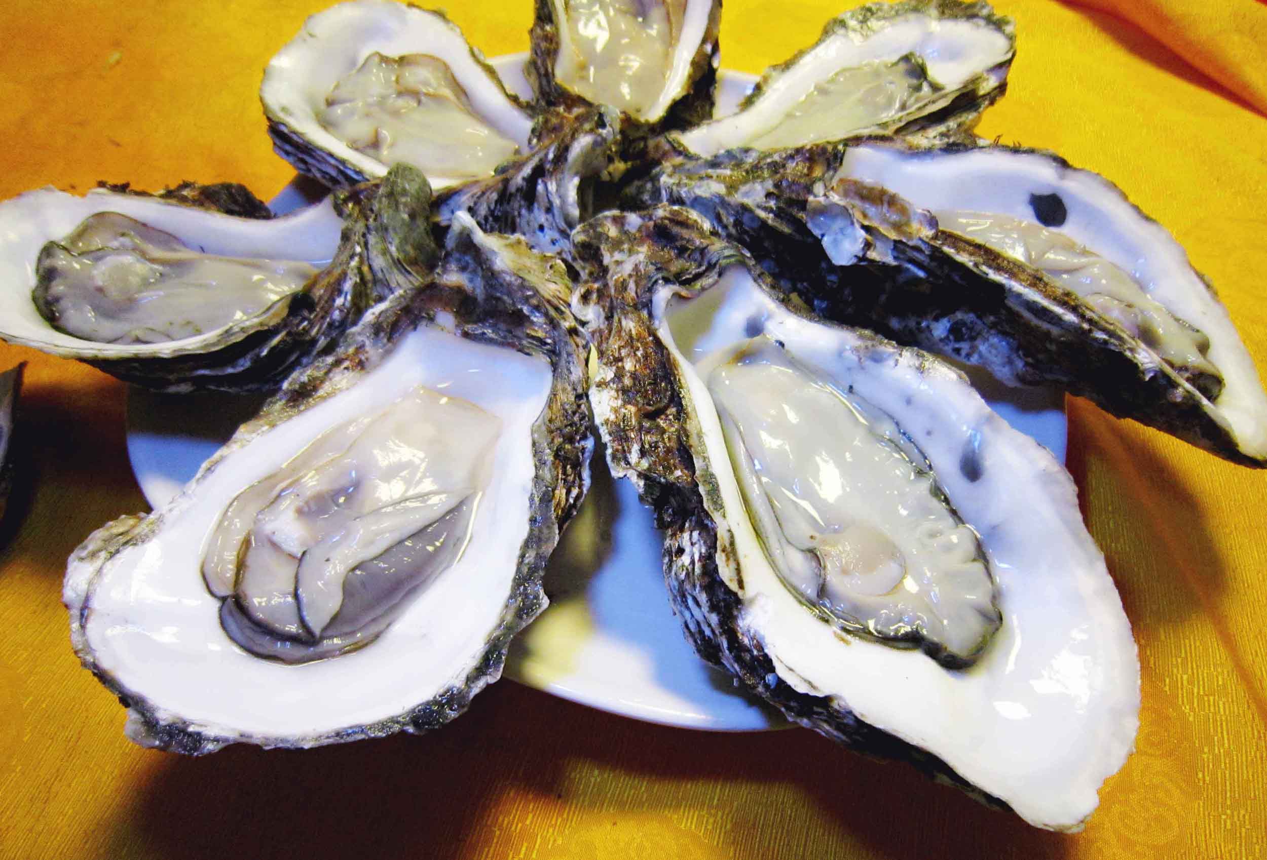 生蚝:生蚝里面含有人体需要的锌元素,锌元素获取充足能够有效提高人体