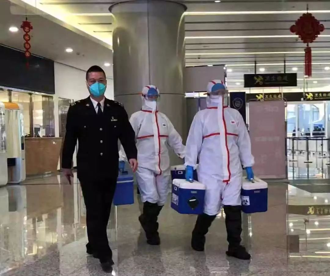 深圳海关全面动员尽锐出战