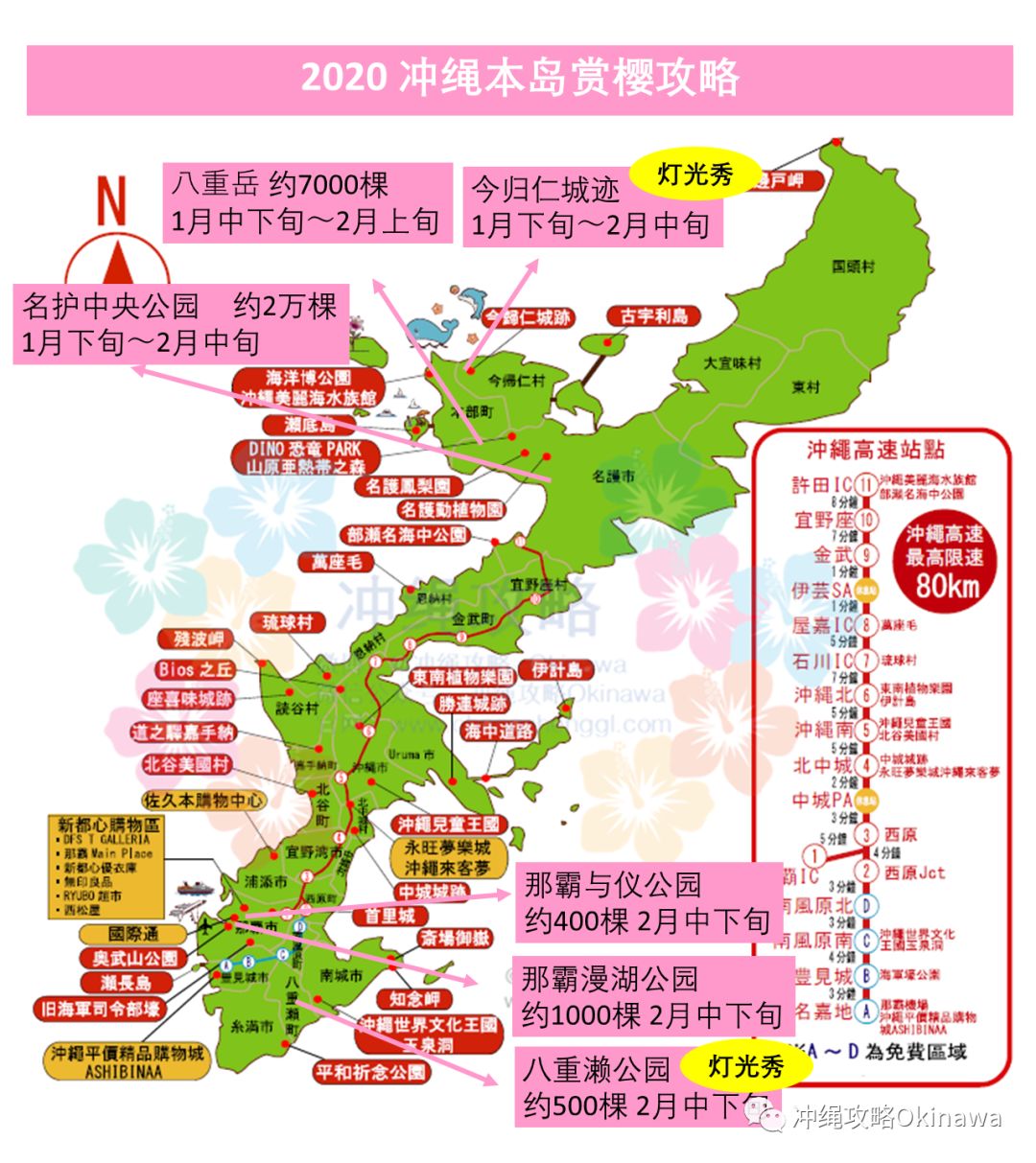 冲绳2月游玩攻略|最佳赏樱期到来(当前樱花开放情况更新)