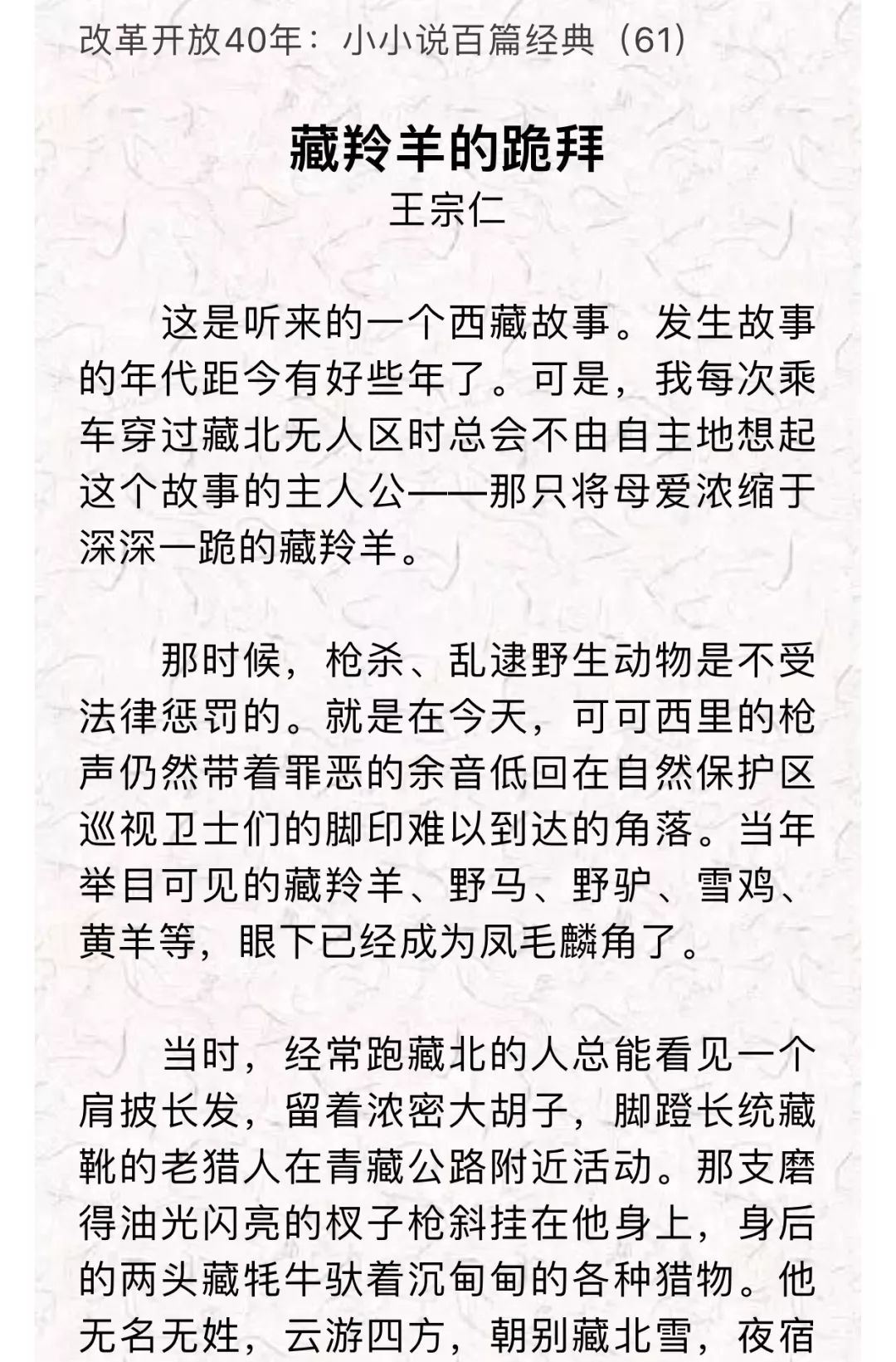 致敬经典 王宗仁:藏羚羊的跪拜