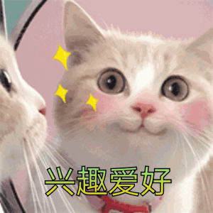 300_300gif 动态图 动图