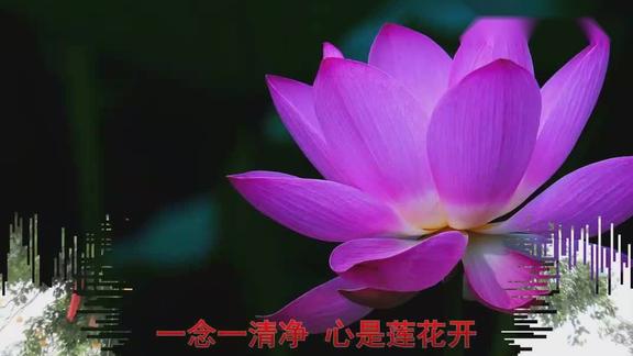 一首佛教歌曲心是莲花开听者大富大贵保佑全家平安