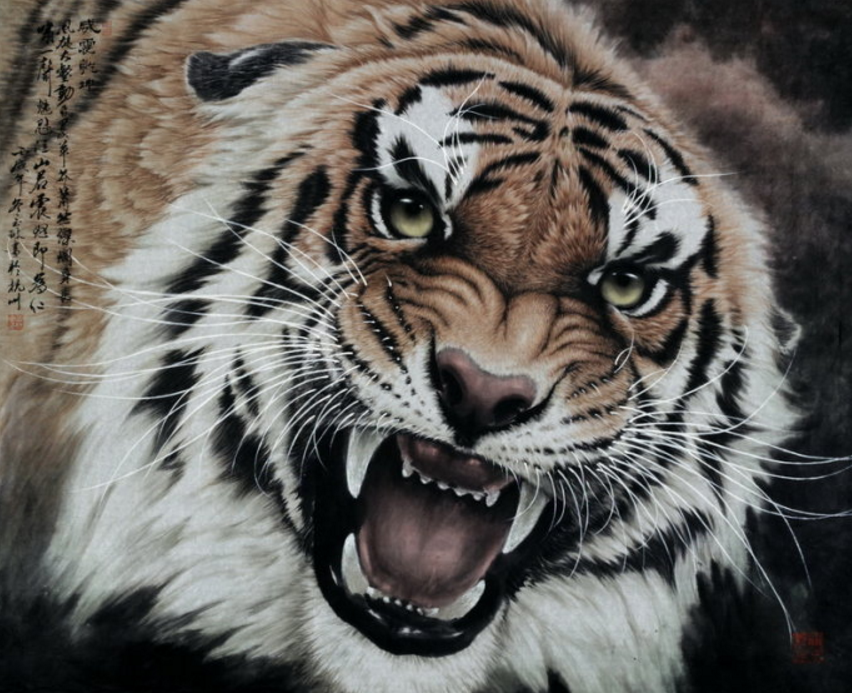 谢谢哑虎 来自搜狐网