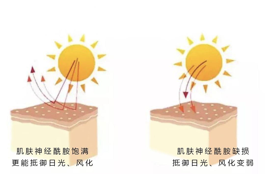 李多芬身体乳排行榜(多芬身体乳是哪个国家的品牌)