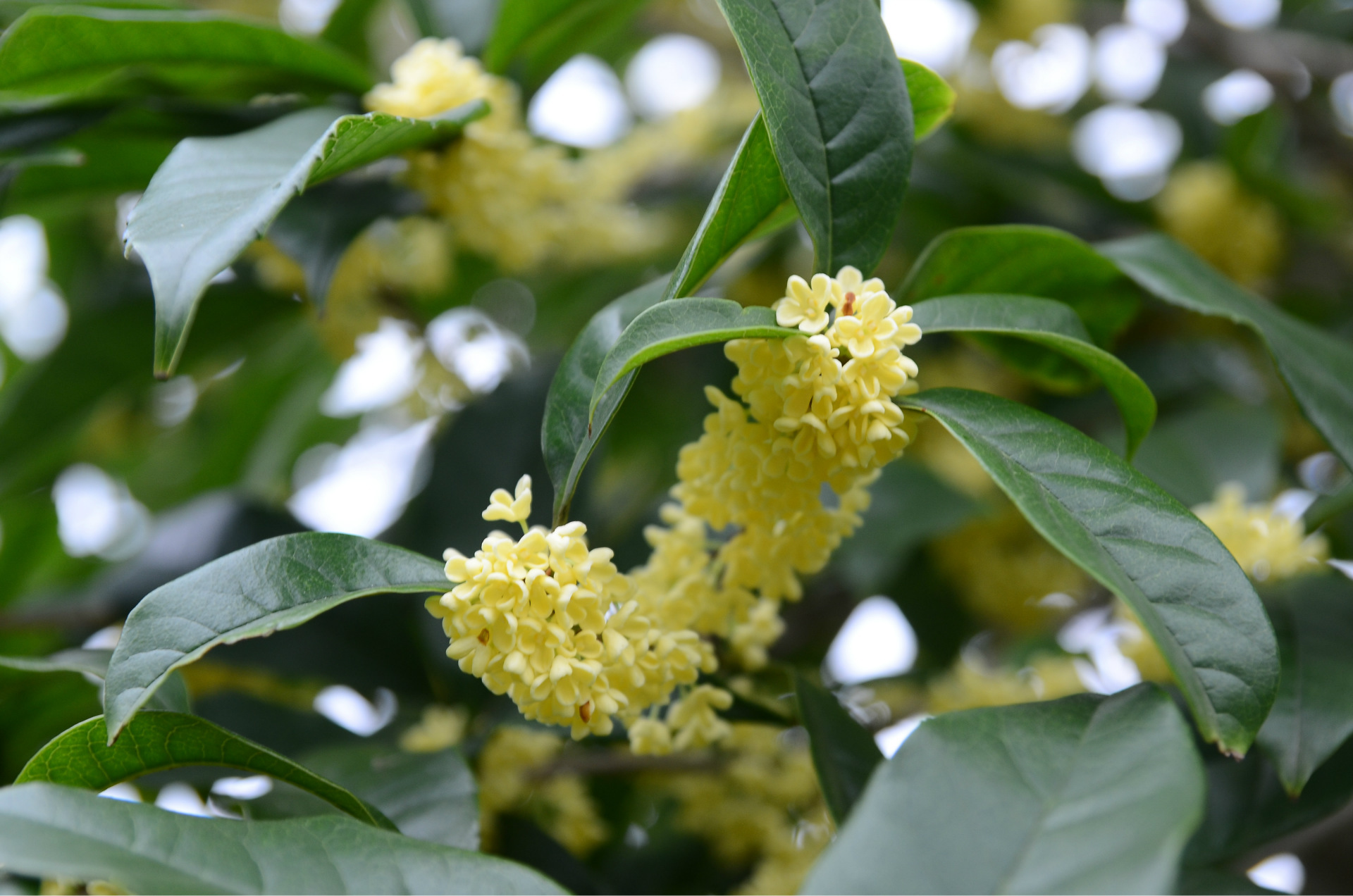 八字算命比较准的方法批八字268条原理与法则