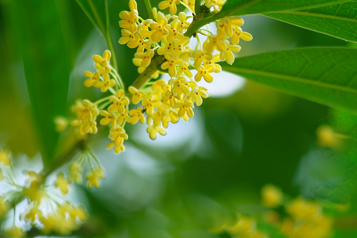 八字算命比较准的方法批八字268条原理与法则