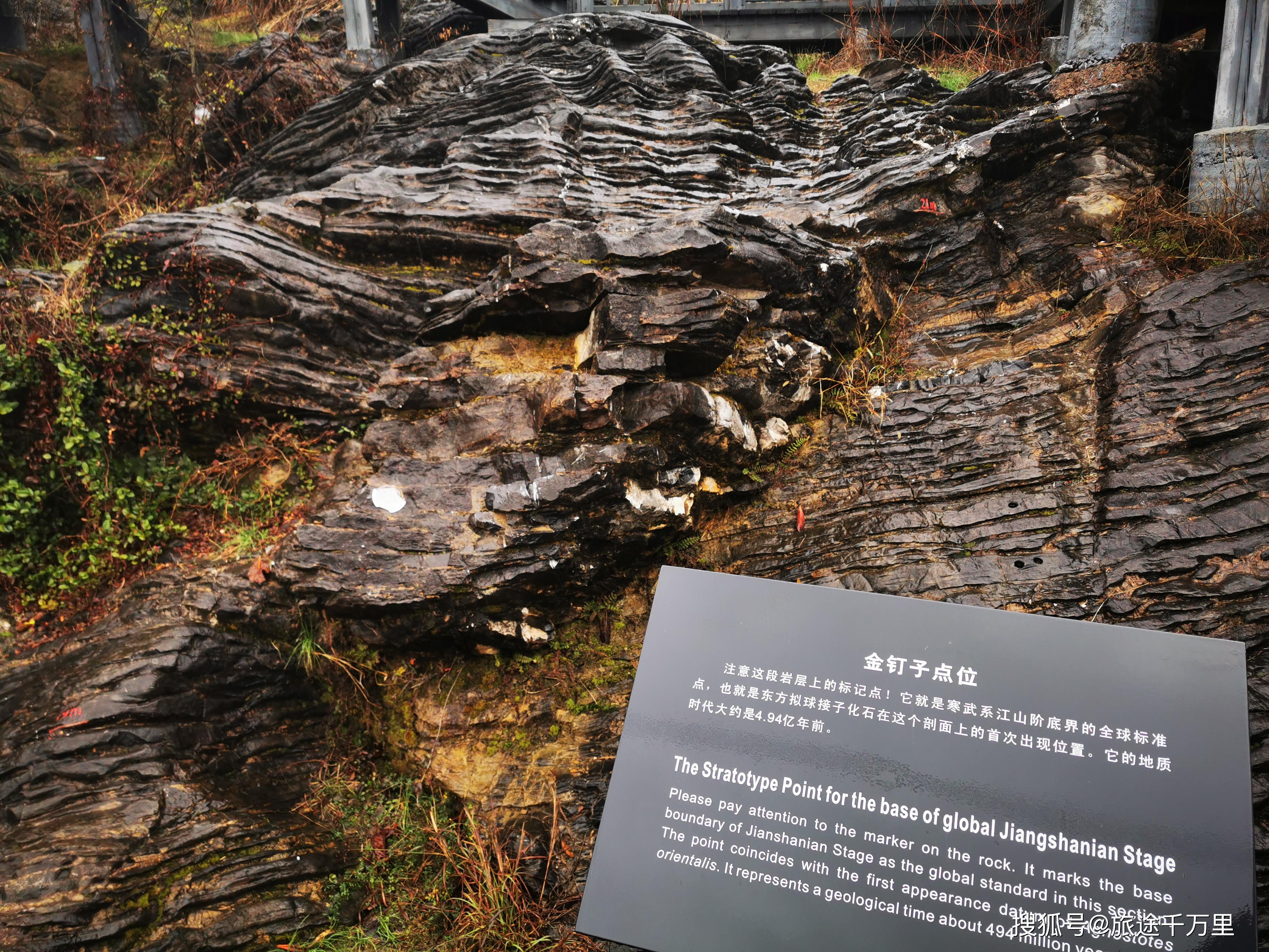 浙江衢州金山阶金钉子自然保护区寒武纪岩石展示生物进化史