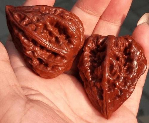 按照以上步骤盘玩出的核桃不仅颜色好看,还表面透亮,你学会了吗?