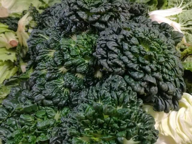 申晨间销量翻番期盼过上好日子的上海宁春节热买脱苦菜成网红年菜