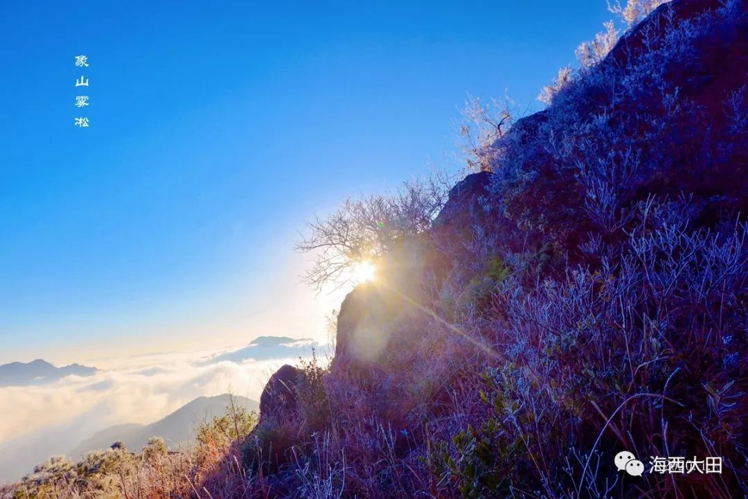 【美丽大田每日一图】象山雾凇图(2020年)
