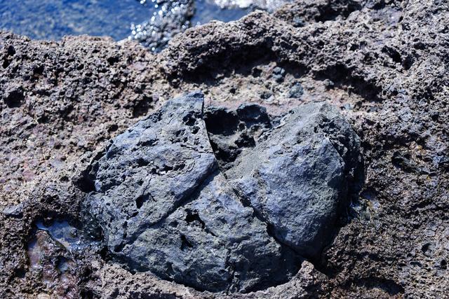 火山弹和火山蛋图片