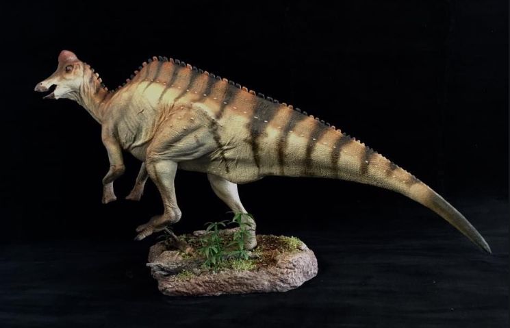 伤齿龙蛮龙三角龙《脑筋急转弯》听回顾now现在行动!