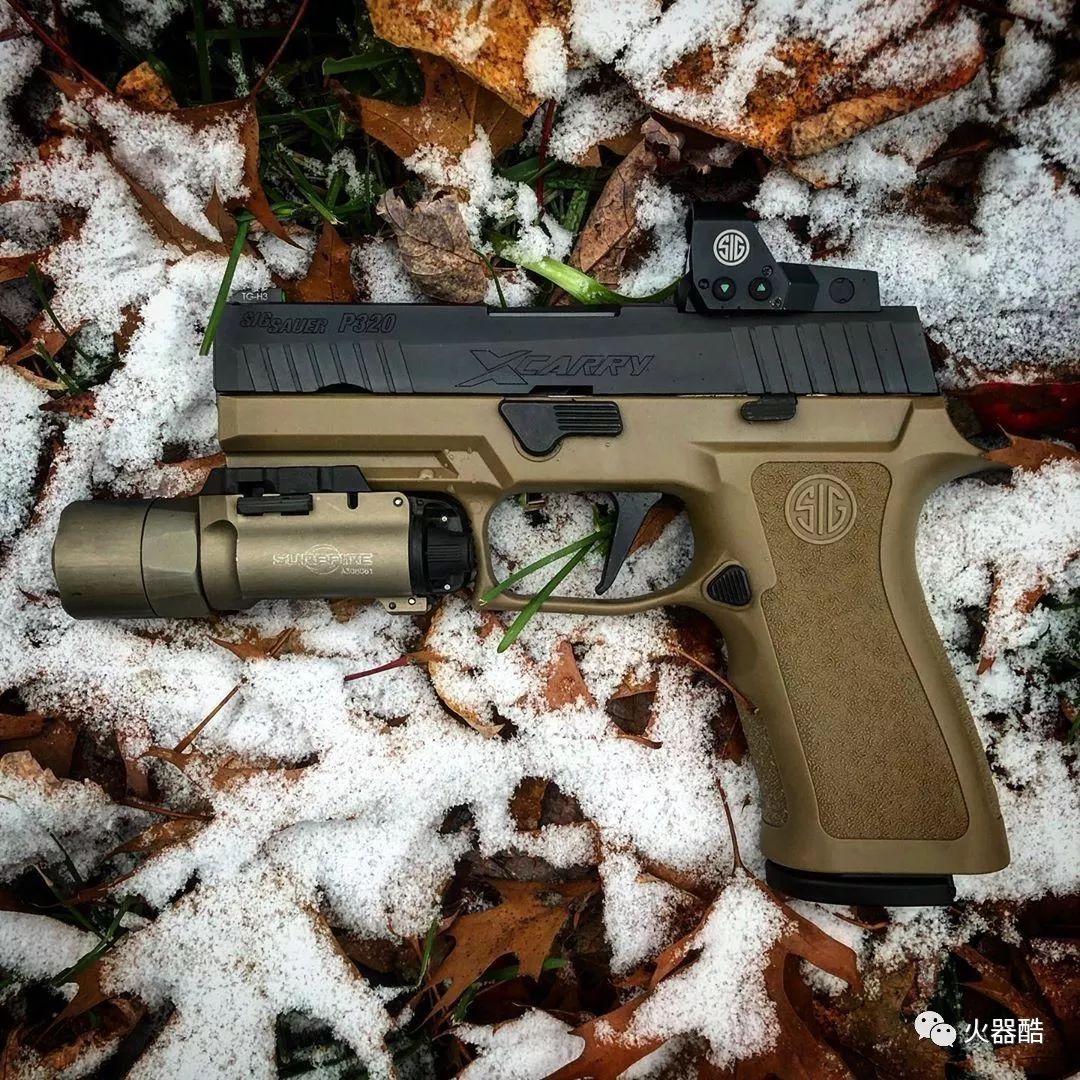 它的美您get到了吗西格绍尔公司p320系列手枪图集
