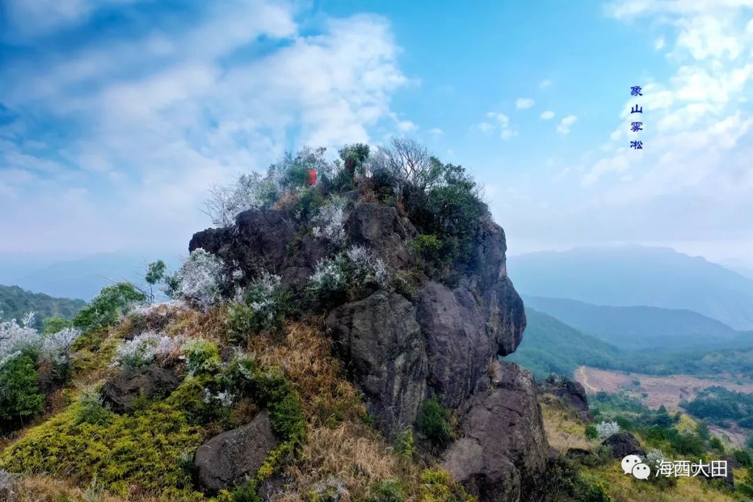 【美丽大田每日一图】象山雾凇图(2020年)