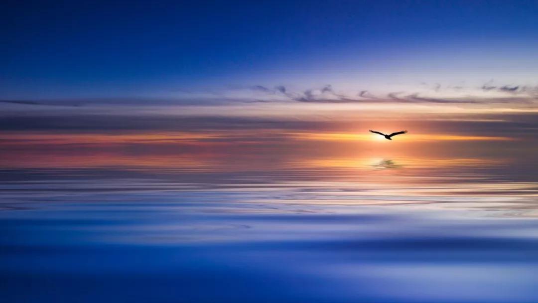 生命的本相不在表层,而在内在的灵魂深处