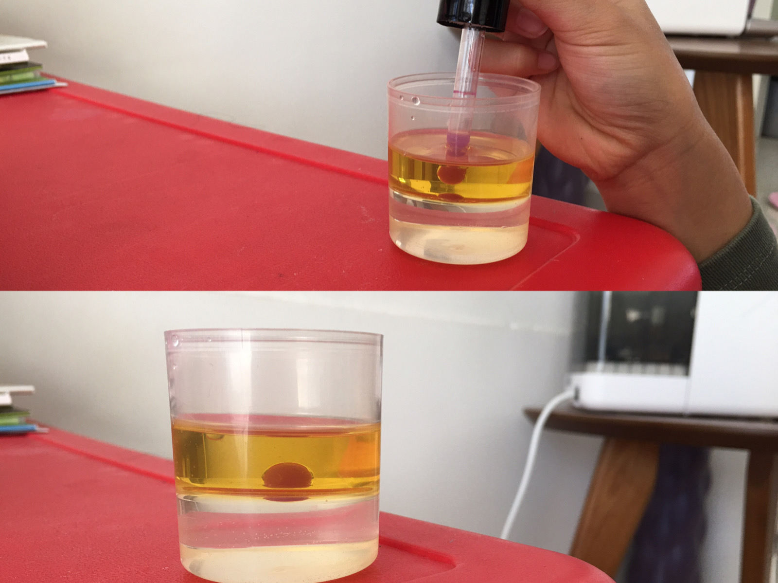 宅家做实验,提问题,学知识_相溶