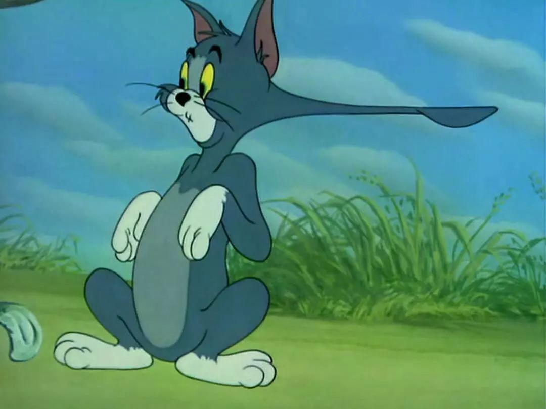 我们的童年|猫和老鼠_jerry