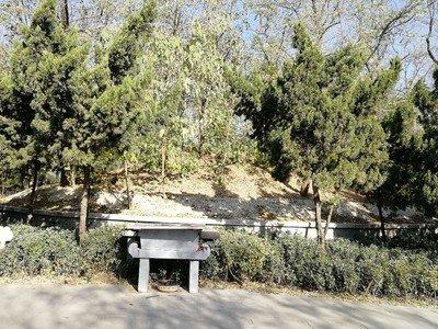 再退一万步讲,即使任嚣,赵佗对秦朝忠心耿耿,那他们也不敢去救驾.