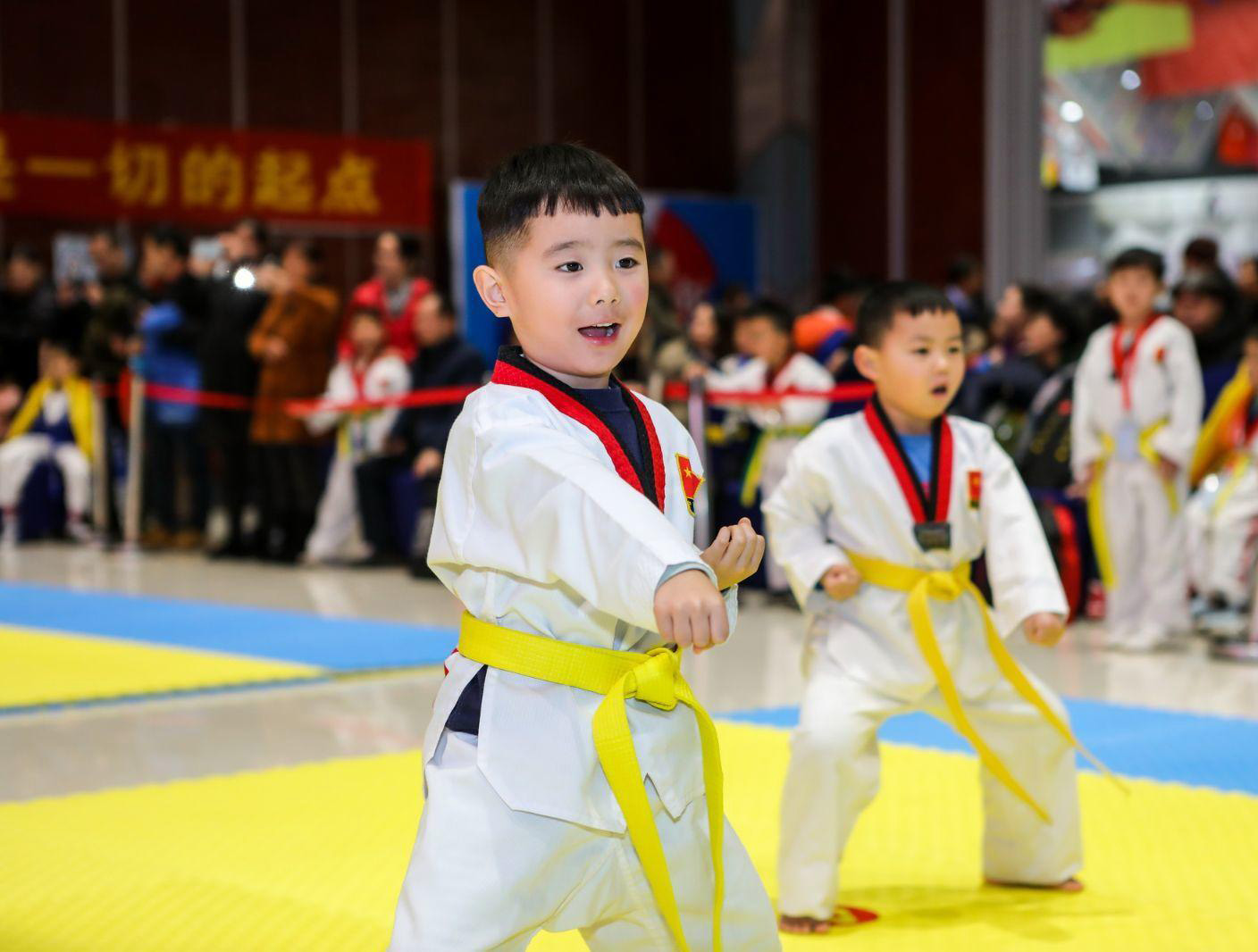 今天就不谈自学跆拳道这个问题了,因为之前已经写过这方面的文章,进行