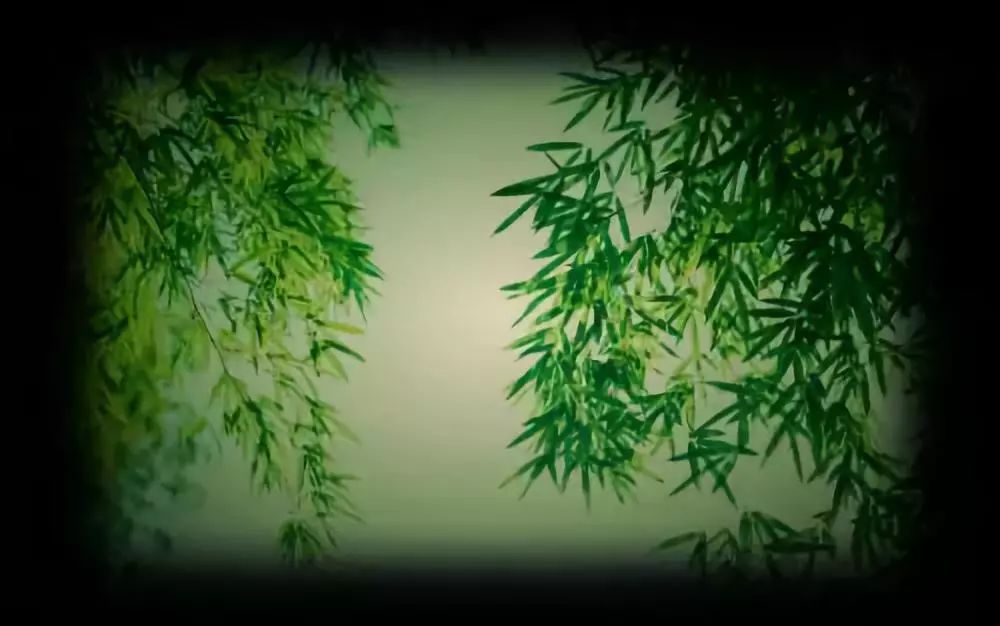 古筝名曲唯美音画竹林听雨迷醉了心灵