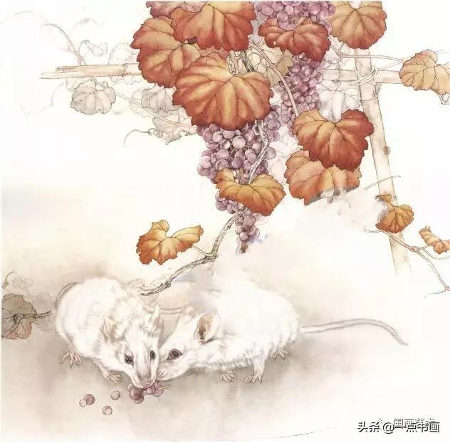 老鼠的工笔画法步骤分享